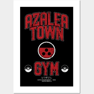 Azalea Town Gym Posters and Art